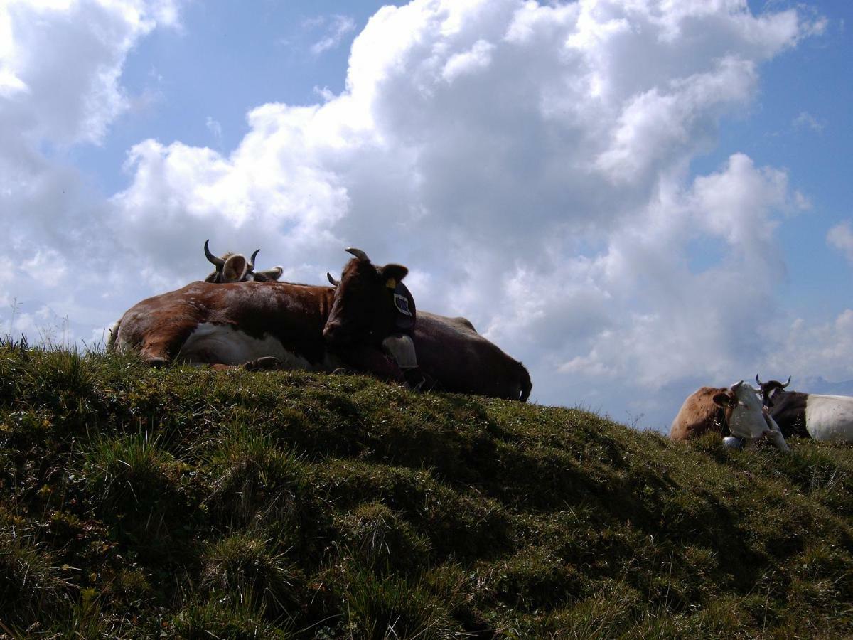 Allgaeu Haus Isny im Allgäu Kültér fotó